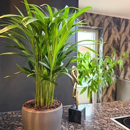 Wild&cozy Mit 160m2, Garage Und 2 Baeder *