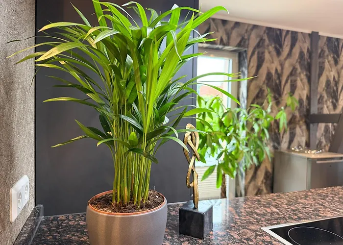 Wild&cozy Mit 160m2, Garage Und 2 Baeder *